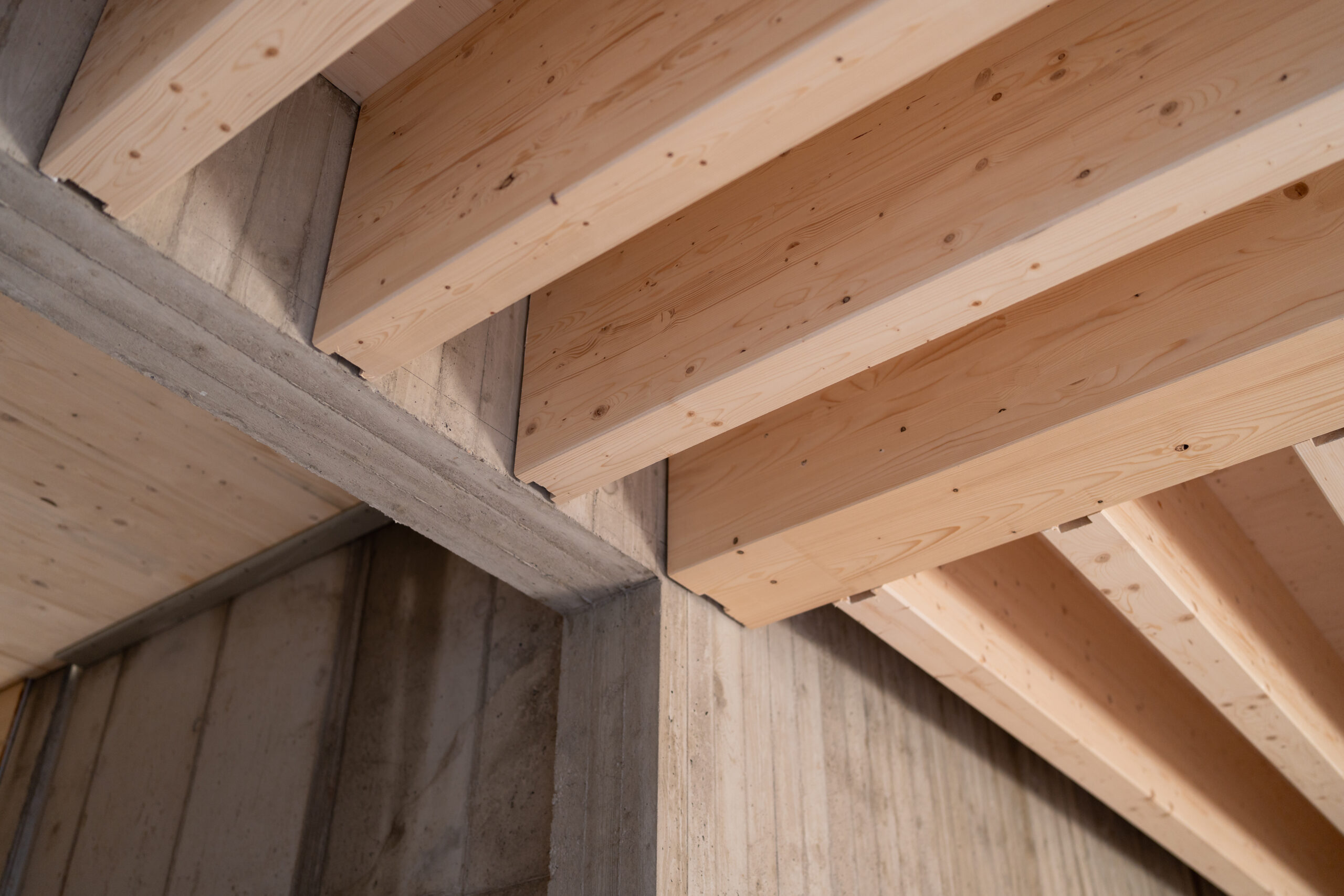 holz hybridbau scaled